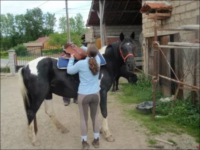 Il existe deux sortes de pads !