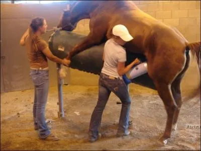 Bizarre, bizarre, que font-ils donc ?