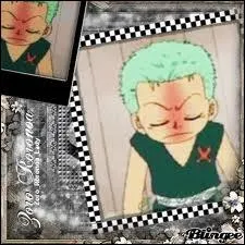 Quel est le surnom de Roronoa Zoro ?