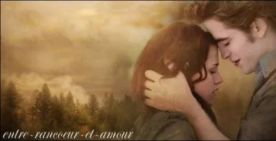 Que dit Edward pour se prsenter  elle ?