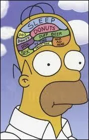 Quelle chose occupe une place essentielle dans le cerveau d'Homer ?