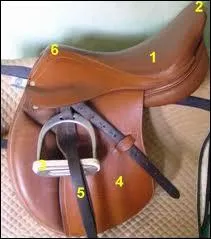 Quelle partie n'est pas sur la selle ?
