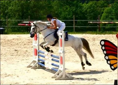 Quelle est ta position lorsque tu sautes un obstacle :