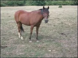 Quelle est l'aide artificielle ?