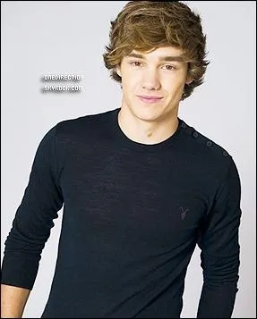 Comment s'appellent les deux soeurs de Liam ?