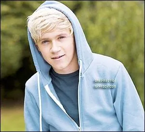 Le nom entier de Niall est...