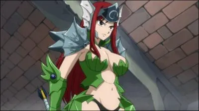 Comment s'appelle cette armure ?