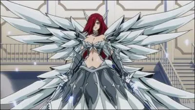 Comment s'appelle cette armure ?