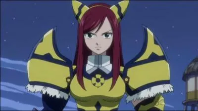 Comment s'appelle cette armure ?