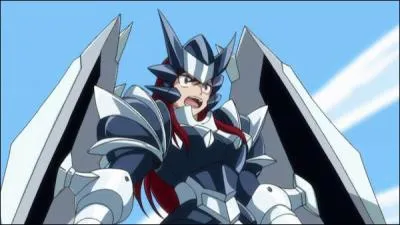 Comment s'appelle cette armure ?