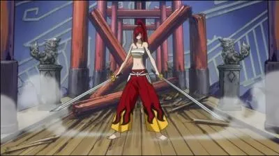 Comment s'appelle cette armure ?