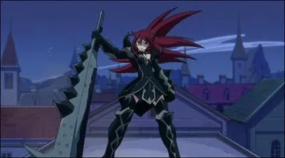 Comment s'appelle cette armure ?