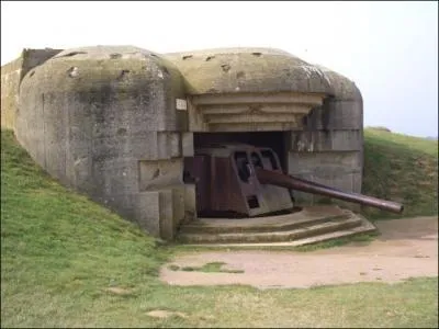 A pousser en grands nombres sur les ctes franaises durant la seconde guerre mondiale. Le...