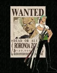 Combien porte-t-il de boucles d'oreilles ?