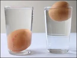 Que fait un uf frais du jour plong dans l'eau froide, sale (de prfrence) ?