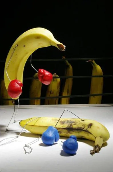 Sorti en 1980, ce film de Martin Scorcese, relate la vie de ce boxeur amricain d'origine italienne !