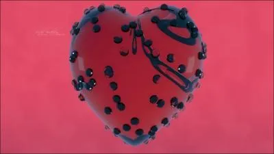 Que peut-on imaginer que ce coeur porte sur lui ?