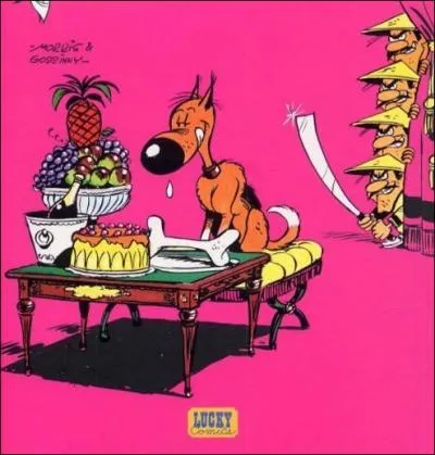 De quel album de Lucky Luke est tire cette couverture de BD ?