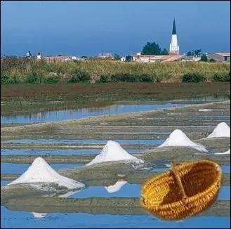 Quel nom tait donn a ce panier, servant autrefois aux sauniers de l'le pour transporter le sel ?