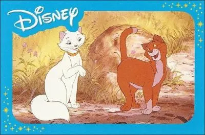 Comment s'appelle la chatte qui aide le chat orange ?