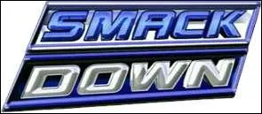 Lors de Smackdown du 14 avril 2012, des anciens matchs de Wrestlemania ont t montrs; mais lequel n'a pas t montr ?