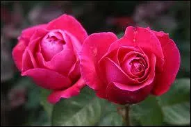 Quelle est cette couleur ?