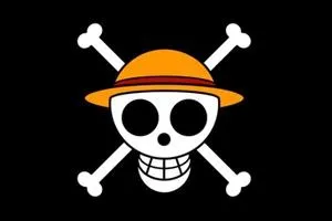 A qui appartient ce drapeau ?