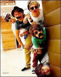 Combien de soeur(s) Zayn a-t-il ?