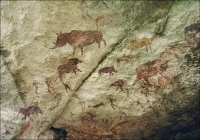 Le dernier animal en haut � gauche est ...