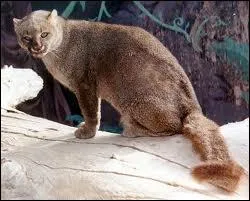 Comment s'appelle ce flin ?