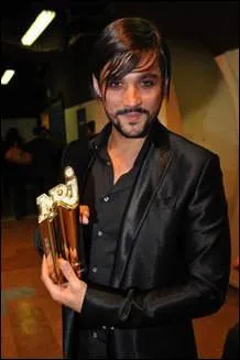 En 2010, quel titre gagne-t-il au NRJ Music Awards ?