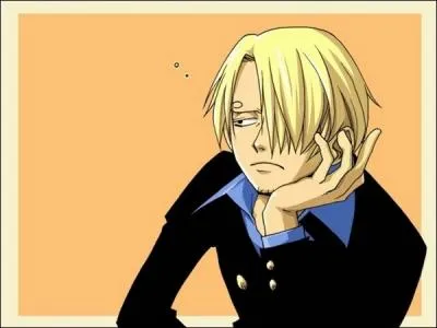 Quelle est la fonction de Sandy (Sanji) ?