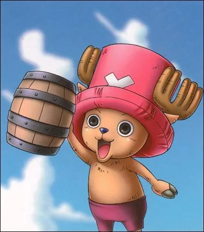 Quelle est la fonction de Chopper ?