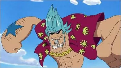 Quelle est la fonction de Franky ?