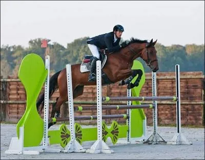 Quel est cet obstacle ?