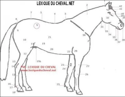 Comment s'appellent les numros 27, 28, 29, 30 ?