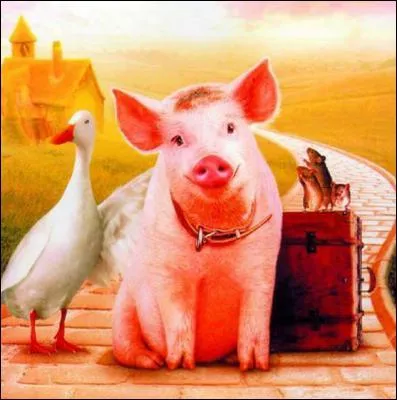 Nom de ce petit cochon.