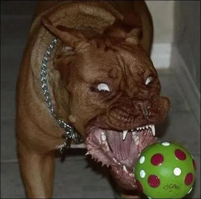 A mon avis, vaut mieux pas toucher  sa...