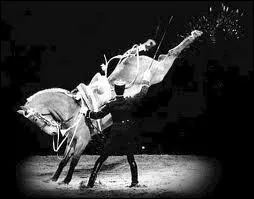 Donc ce cheval excute...