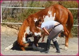 Bien fait(e) ce(tte)... . .