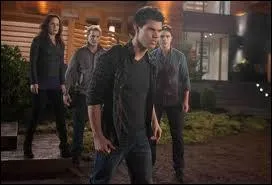 Que dit Jacob quand son ancienne meute vient pour ''Renesme'' ?