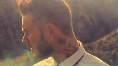 Quel est le genre de musique qu'interprte Matt ?