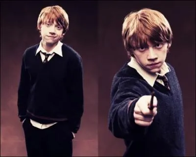 Comment s'appelle la petite amie de Ron dans Harry Potter 6 ?