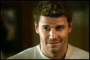 Dans quoi joue David Boreanaz ?