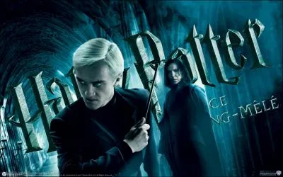 Harry Potter 6 : Qui dit :  T'es barjo ? Qu'est-ce que Tu-Sais-Qui ferait d'un petit con comme Malefoy ?   ?