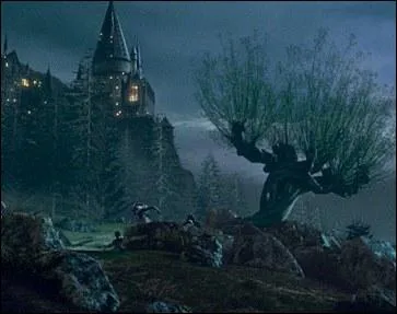 Harry Potter 2 : Qui dit :   Vous avez caus des dommages  un arbre qui se trouvait ici bien avant votre naissance !   ?