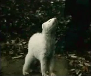 Harry Potter 4 : Qui dit :  Oh srement pas mon vieux !   ?