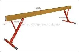 Combien fait la poutre en largeur et en longueur ?