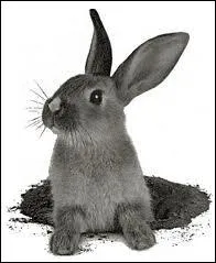 Si l'on fait un  faux-bond , que fait-on ?