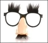 Dans quel film Woody Allen fait-il tmoigner tout le monde, dont la mre et le pre du hros, avec ce faux nez ?